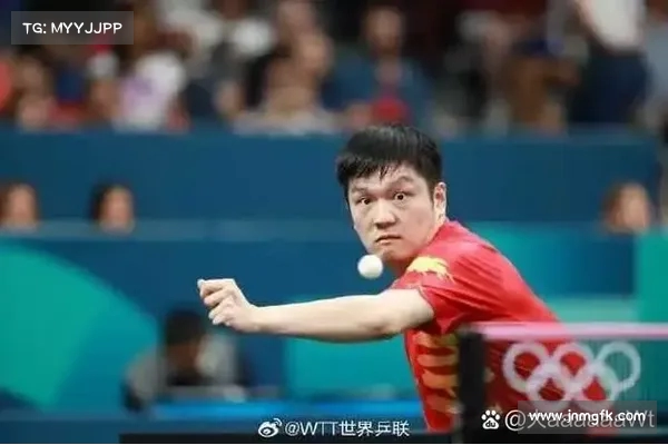 樊振东昔日训练画面曝光 回顾顶尖乒坛高手成长轨迹
